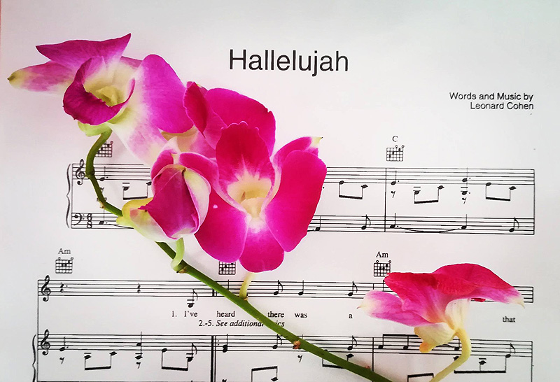 hallelujah cohen matrimonio alleluja canzoni