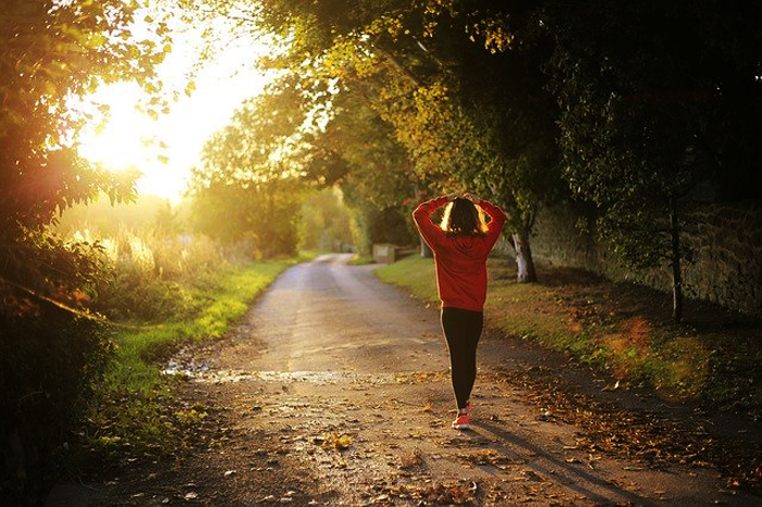 meditazione camminata nel bosco