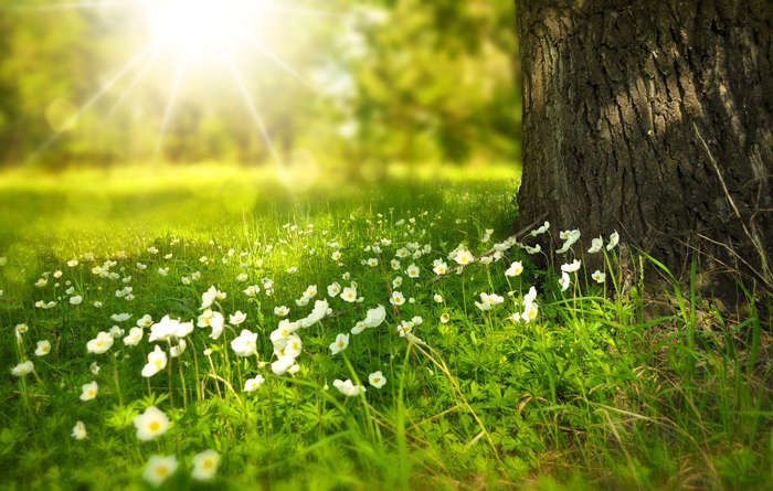 equinozio di primavera significato
