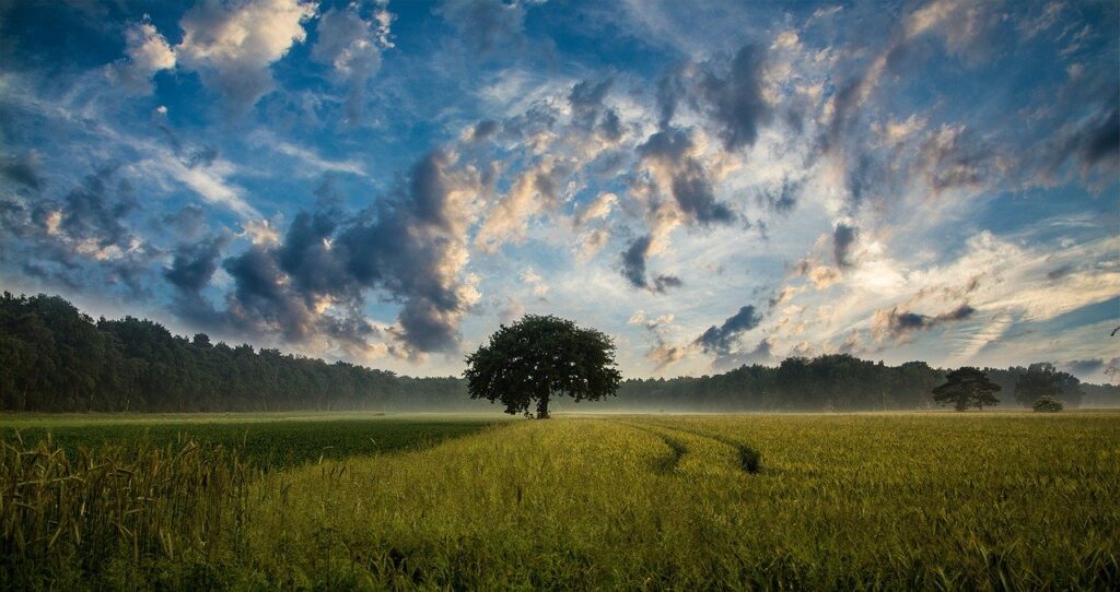 equinozio di primavera